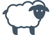 Lamb