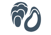 Shellfish