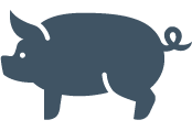 Pork